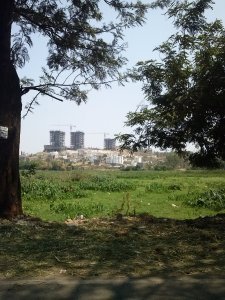 When concrete turns natural